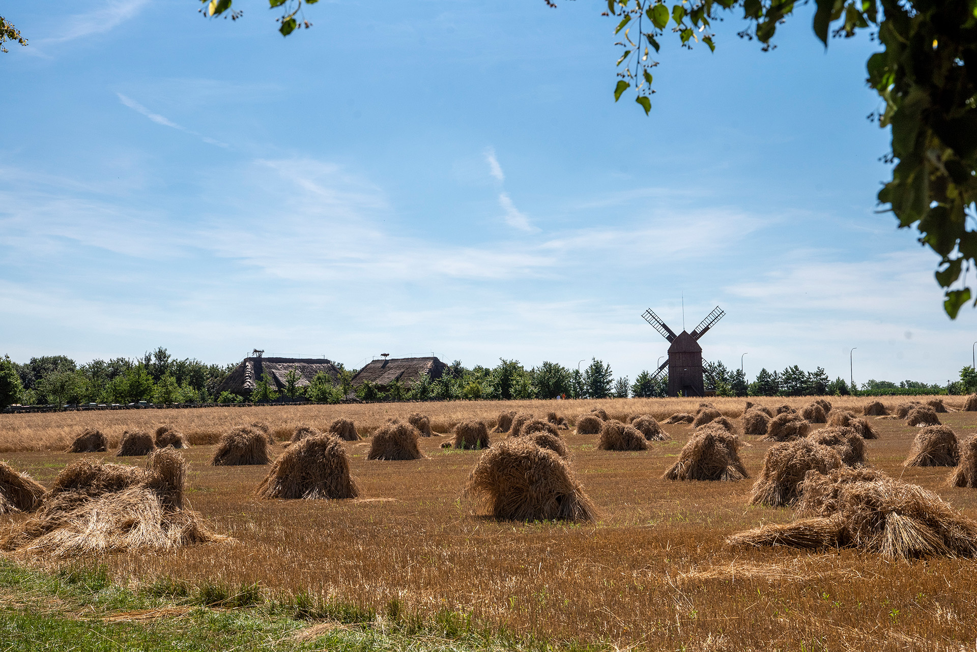 2022_Widok fot. D Krześniak (138)