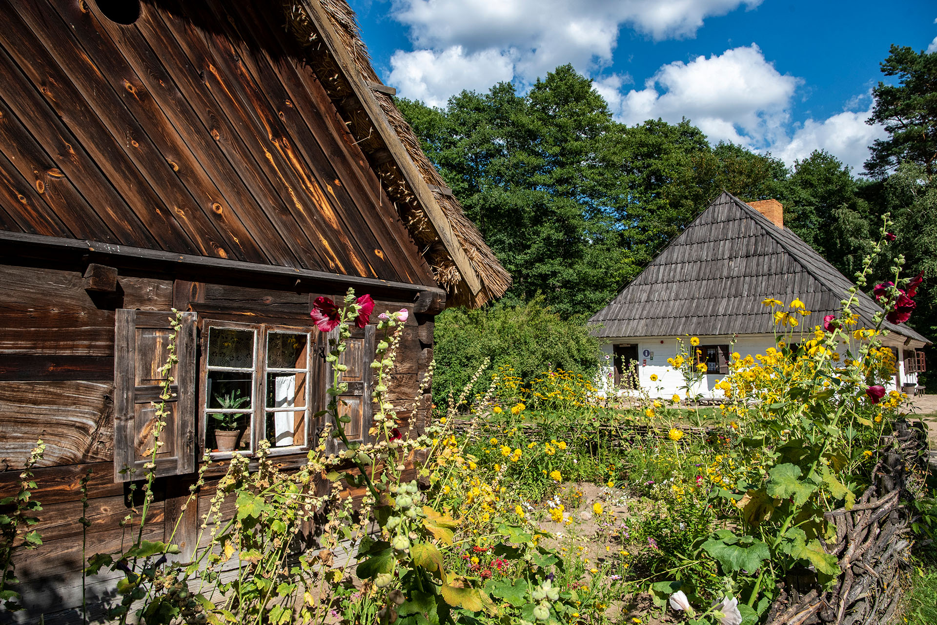 2022_Widok fot. D Krześniak (148)