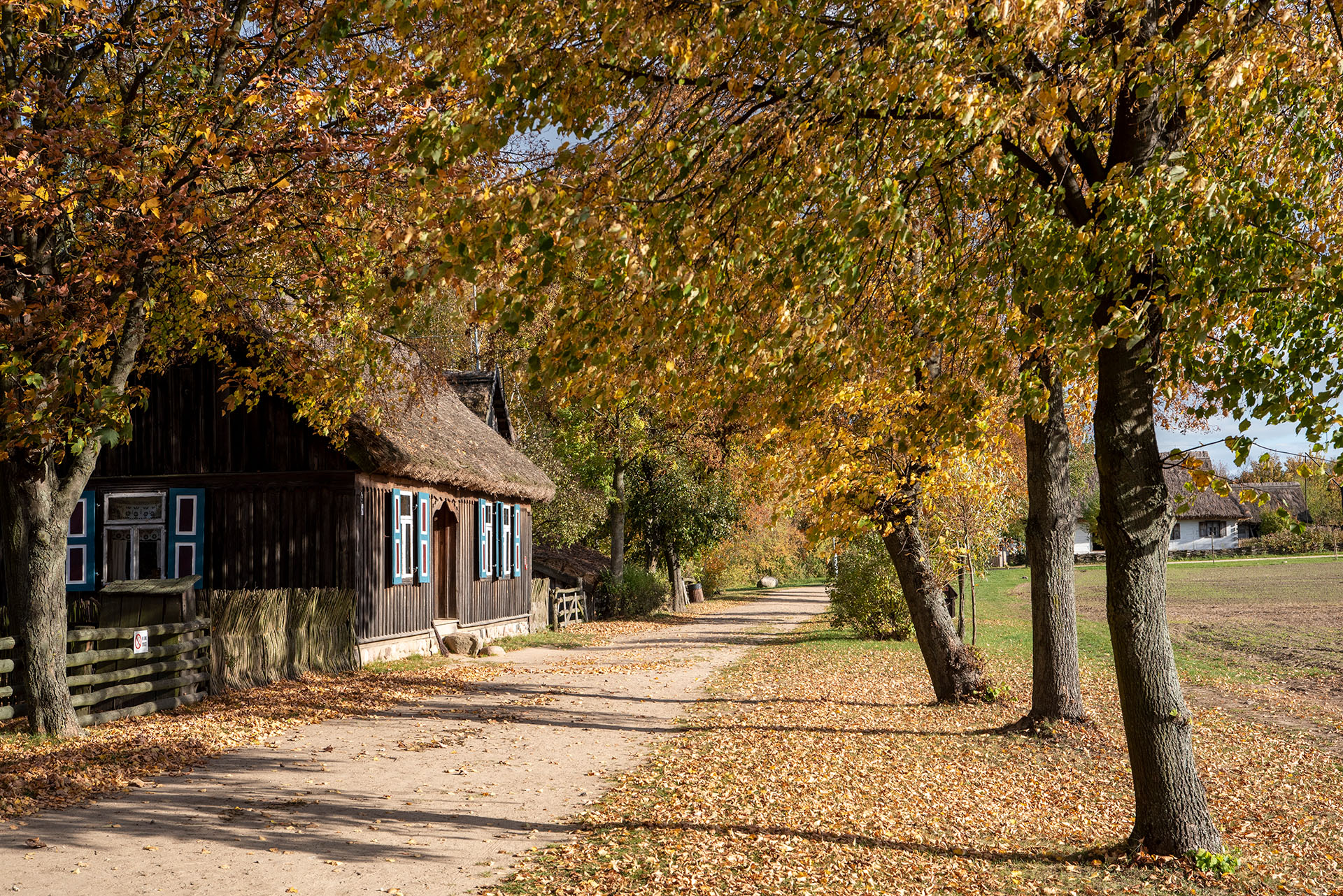 2022_Widok fot. D Krześniak (203)