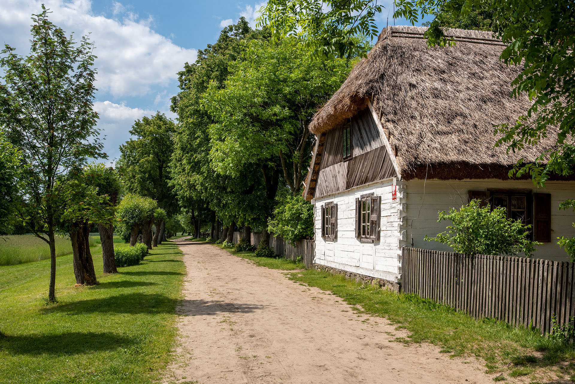 2022_Widok fot. D Krześniak (5)