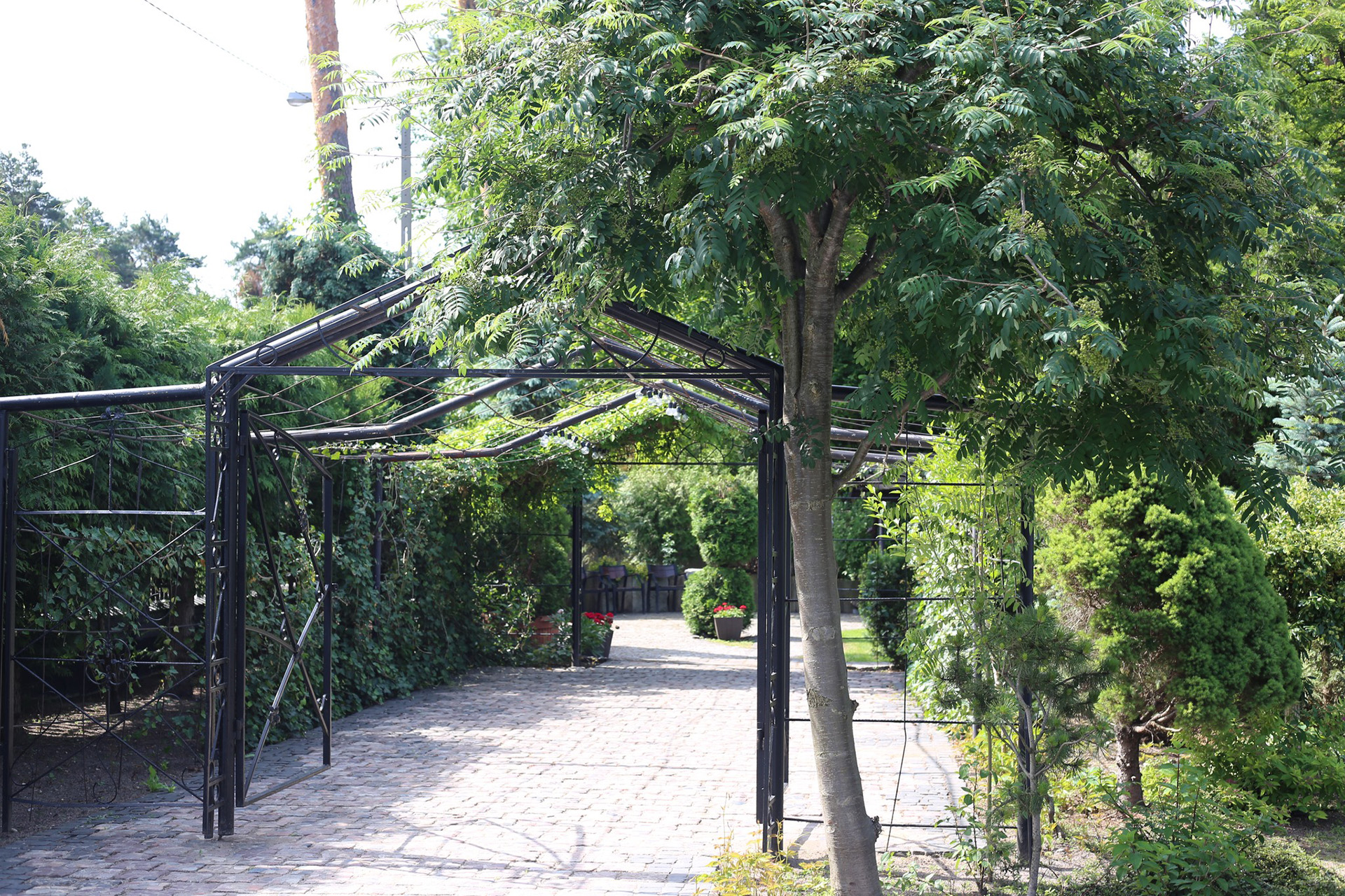 pergola